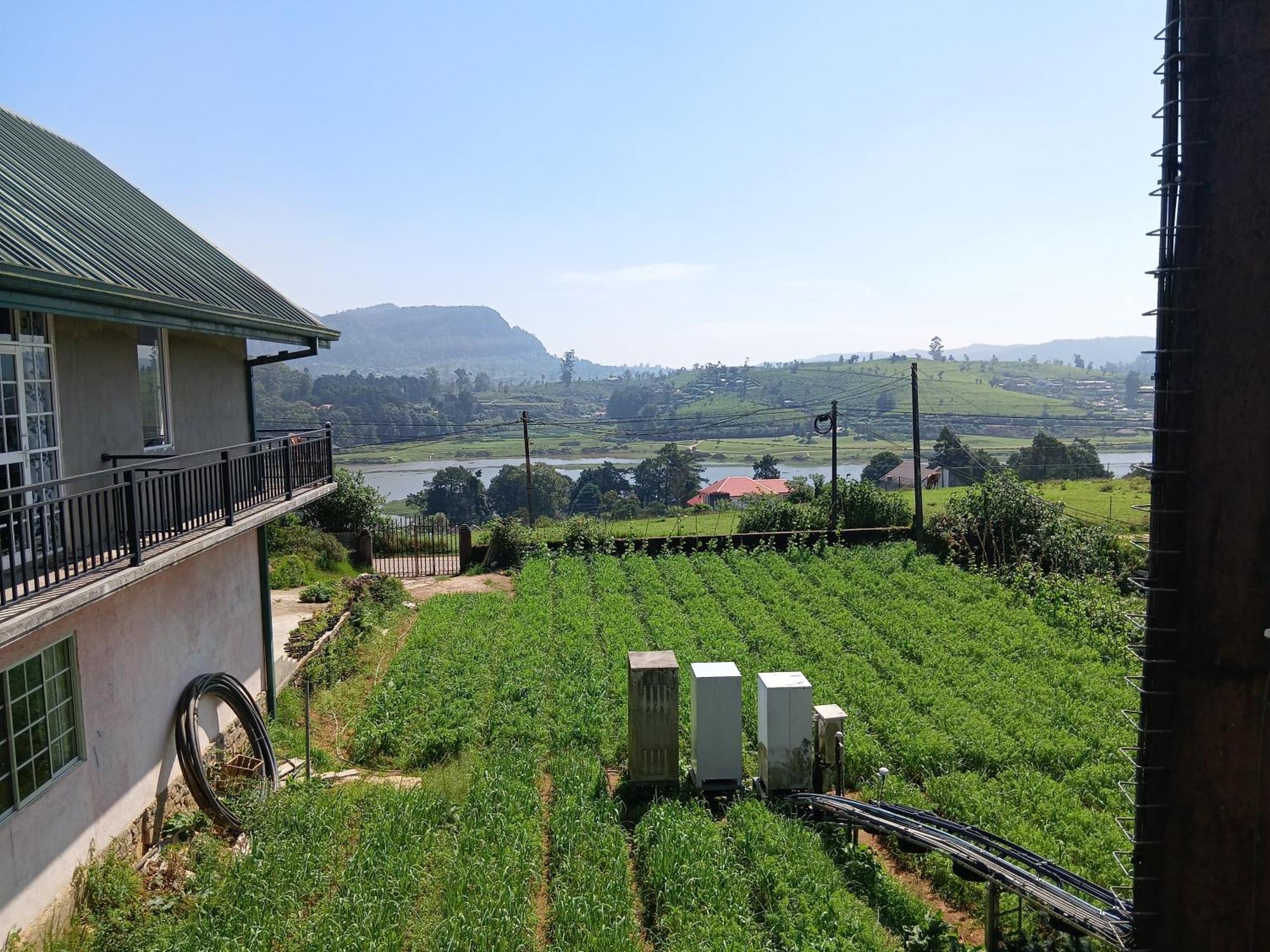 Terrabella - Nuwara Eliya Otel Dış mekan fotoğraf